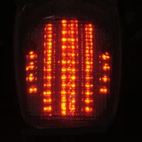 Clear Alternatives Integrated LED Tail Light Kit - VTX1300 & VTX1800 Custom