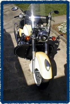 Sage Brush Engine Guard Chaps - Drifter 800 With OEM Bar