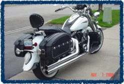 Sage Brush Engine Guard Chaps - Royal Star With Barons Bar